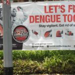 Dengue glossary German-English