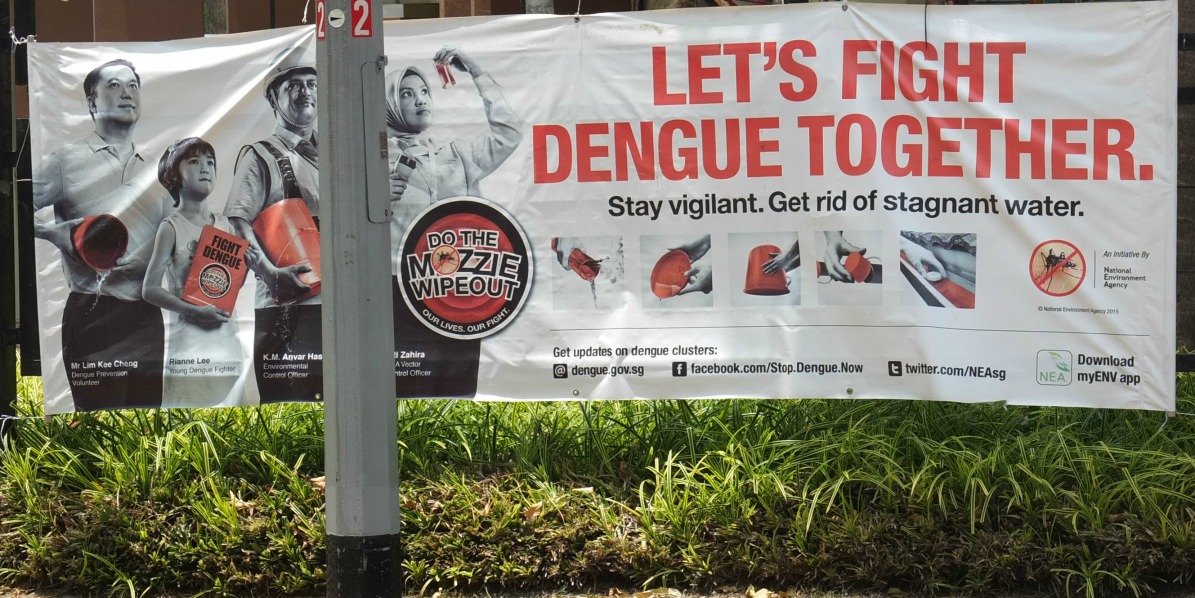 Dengue glossary German-English