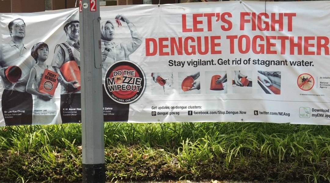 Dengue: a glossary of terms in German and English